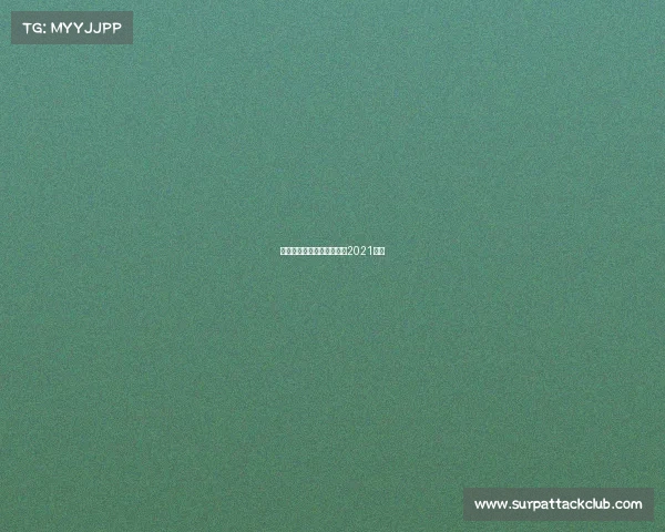 斯巴达赛事上海斯巴达比赛2021上海